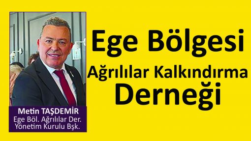 ege ağrılılar metin taşdemir
